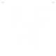 Vivacity Tech icon